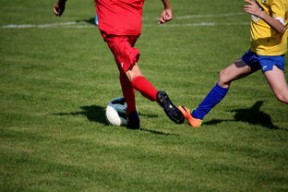 华体会在线下载-国家体育场馆运营管理论坛探讨智能化方向，国家体育总局体育场馆运营管理办法